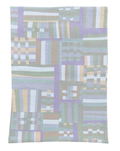 Through the Male Lens (E)