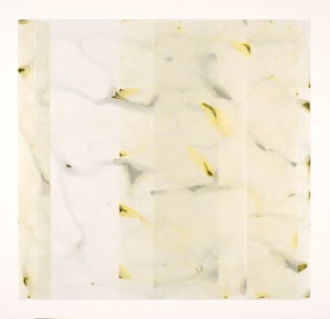 Azo Ice