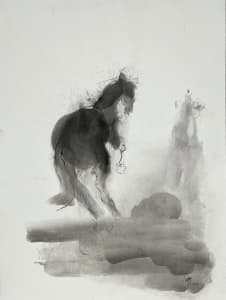 Horse 1