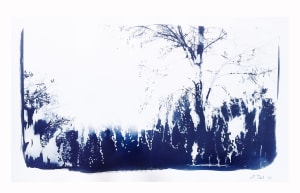 Winter Morn