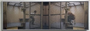 Cage