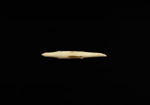 Ivory or bone object