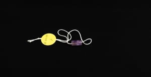 Bead