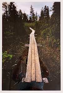 Wooden path leading into Ridges Sanctuary. Ridges Road - Rustic Road 39, Door County, Wisconsin