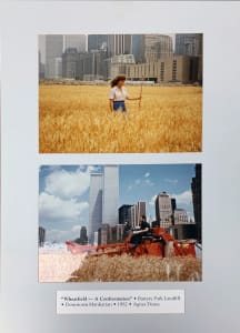 Wheatfield - A Confrontation