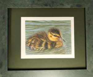 The Duckling (120)