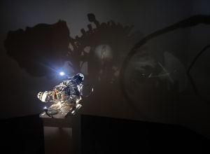 Skew Series No. 36 - Projection