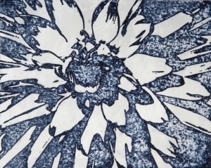 Blue Dahlia Solar Plate Print