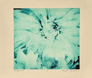 The Aquatint