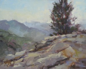View from a Rocky Ledge