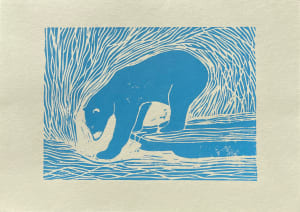 Bear / medved