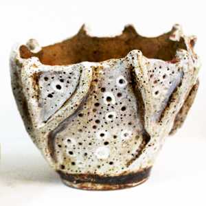 SPONGE POT