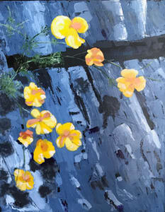 Cliff Beauties