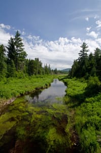 Stream Near Dillon Park