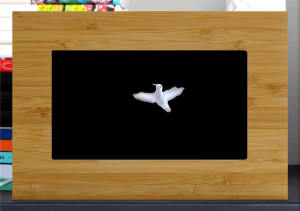 Santo - The Hummingbird Enters