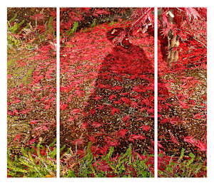 Red Tara (Sandra Mueller)