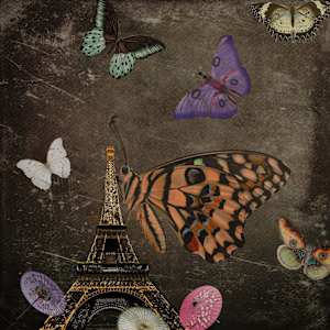 Papillon & Parapluie