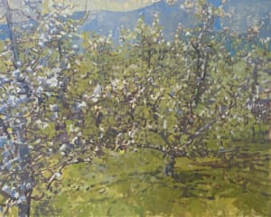 Little Orchard at Jack Mountain