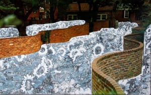 Strange Plants, Charlottesville (SP-PC-086)