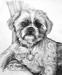 Westie Pet Portrait by Sonja