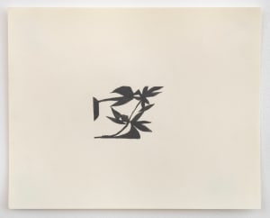 8 (shadowplant)