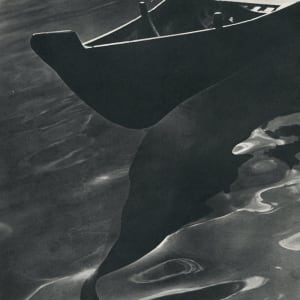 Ripple Reflections 1955