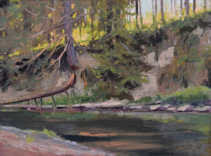 Fallen Hemlock