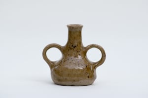 wild pigment vessel