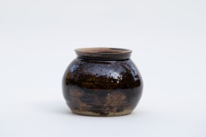 wild pigment vessel: limonite