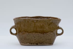 wild pigment vessel