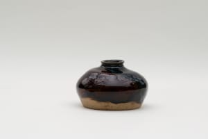 wild pigment vessel