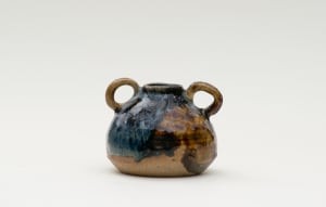 wild pigment vessel