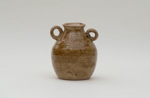 wild pigment vessel