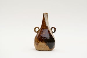 wild pigment vessel