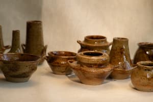wild pigment vessels