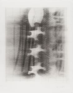10.VI-8.VII.11