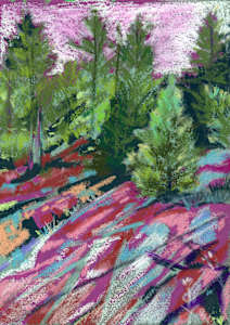 RAGGED CHUTES