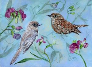 PHOEBE AND WREN STUDY