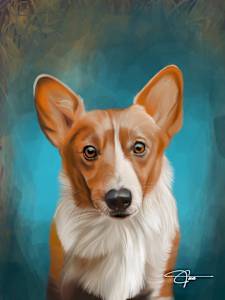 Corgi Calamity