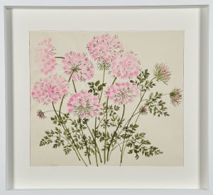 Vera Paints Queen Anne’s Lace