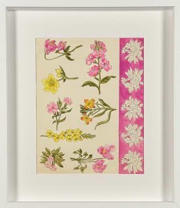 Untitled from the Floral Series