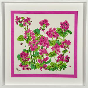 Geraniums