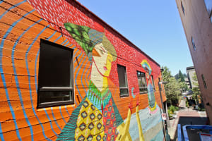 Acidum Project (Brazil)