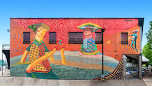 Acidum Project (Brazil)