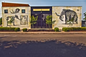 Alexis Diaz (Puerto Rico)