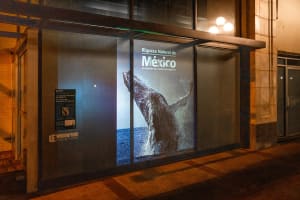 La Riqueza Natural de México