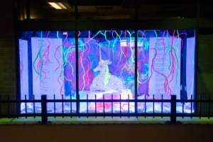 Queer Ancestries, Self-Prophesies and Horse Girl Fantasies