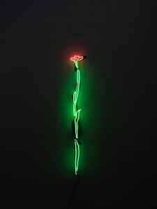 Pain is Flowers