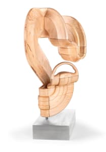 SelfDrivingFreedom.01