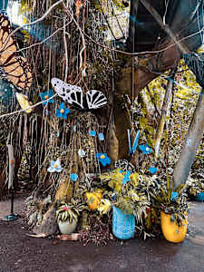 Whenever I See A Butterfly, I Know I'll Be Ok
